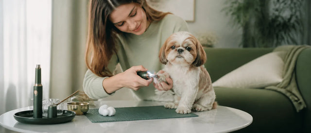 Shorter Claws, Calmer Paws: A Gentle Home Routine