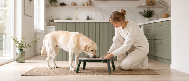 A Better Mealtime Starts at the Right Height