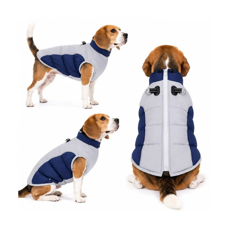 Dog wearing the blue Nordvarm Winter Jacket on a walk – Petifo