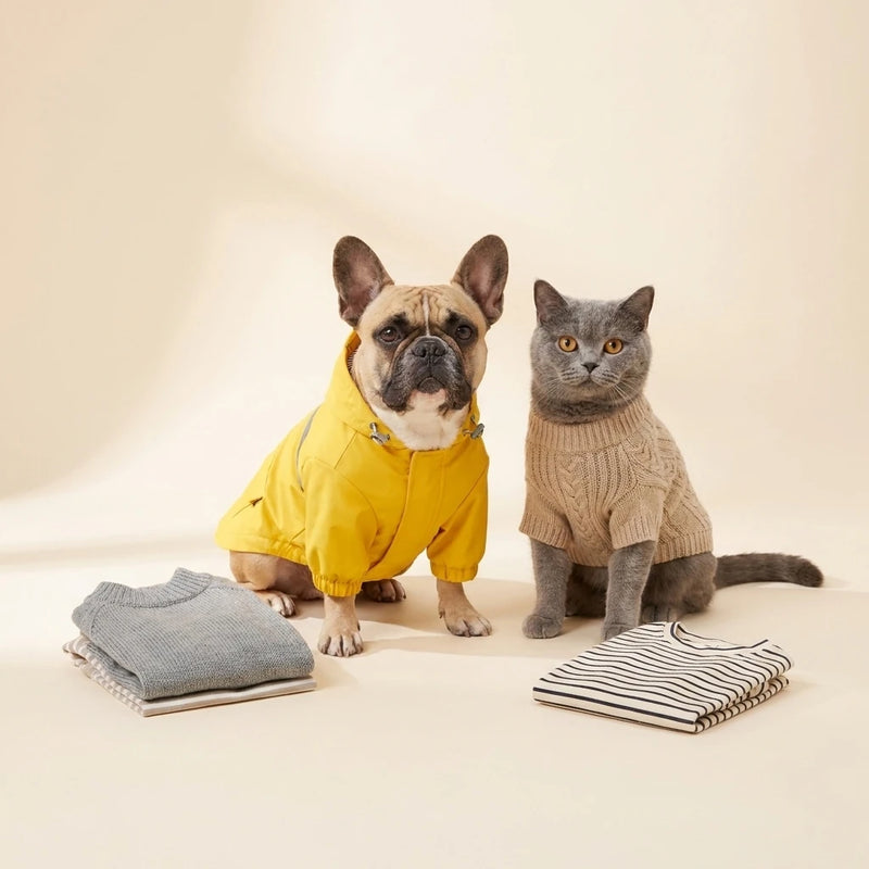 Dog in a raincoat and cat in a jumper wearing pet apparel – Petifo Pet Clothing & Apparel