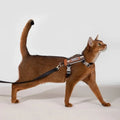 HiDream Stripe Series cat harness - Petifo
