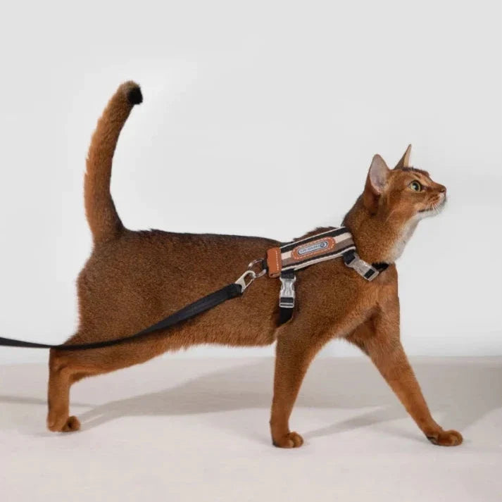 HiDream Stripe Series cat harness - Petifo