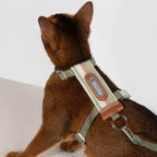 HiDream Stripe Series cat harness - Petifo