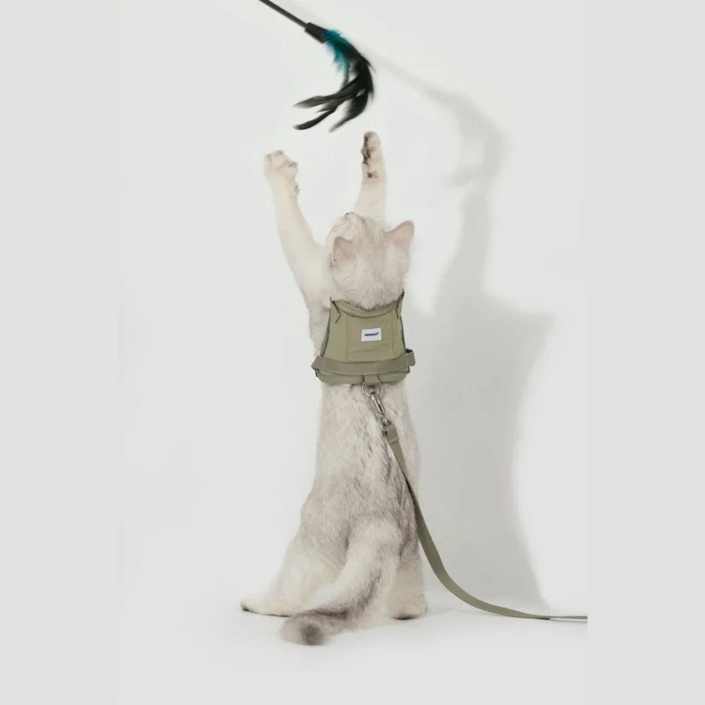 HiDream Vest Series Cat Harness - Petifo