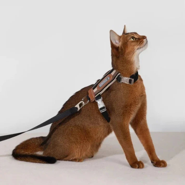 HiDream Stripe Series cat harness - Petifo