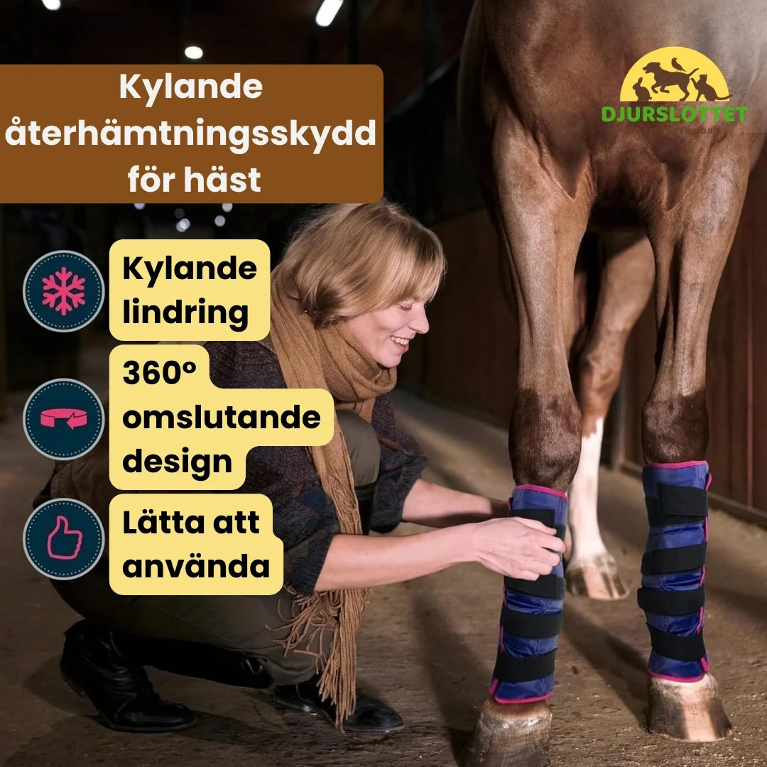 2-pack Cooling Bandage horse for leg Cooling recovery protection for horse - Petifo