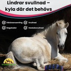 2-pack Cooling Bandage horse for leg Eases swelling – cold where it is needed - Petifo