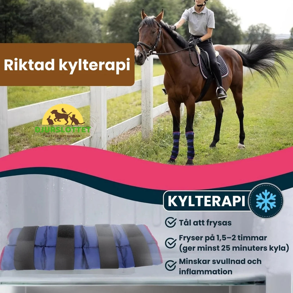 2-pack Cooling Bandage horse for leg Targeted cold therapy - Petifo