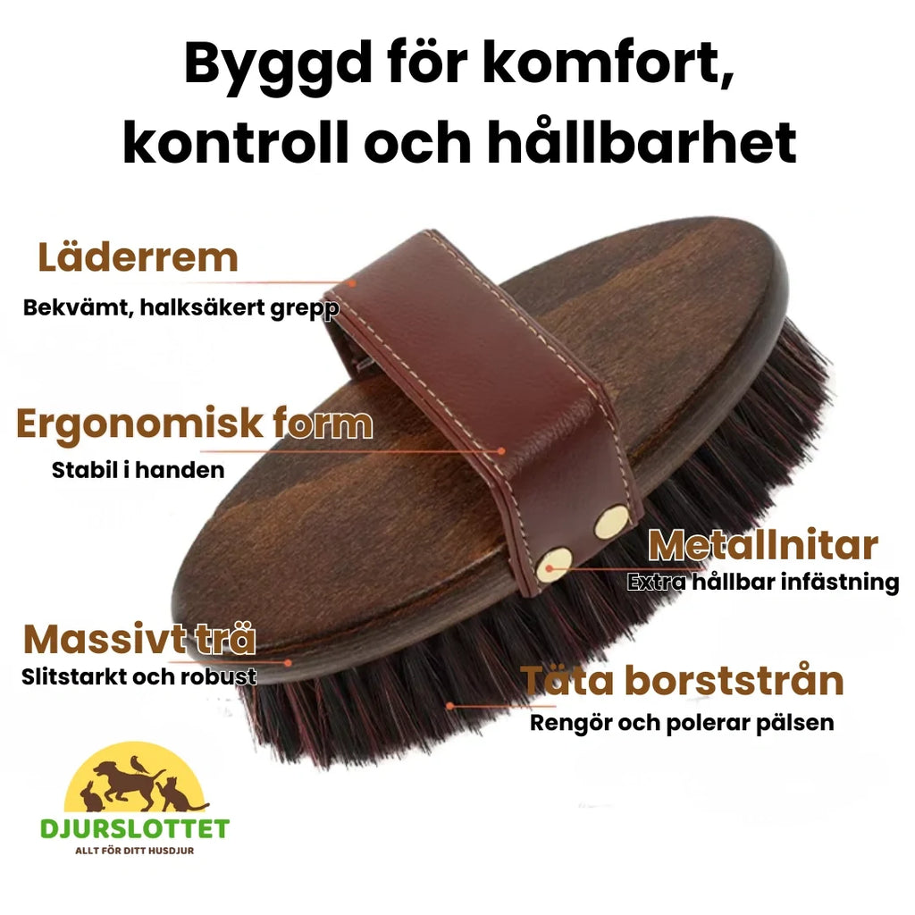 2-pack Premium Horse Brush in Wood Built for comfort, control and durability - Petifo