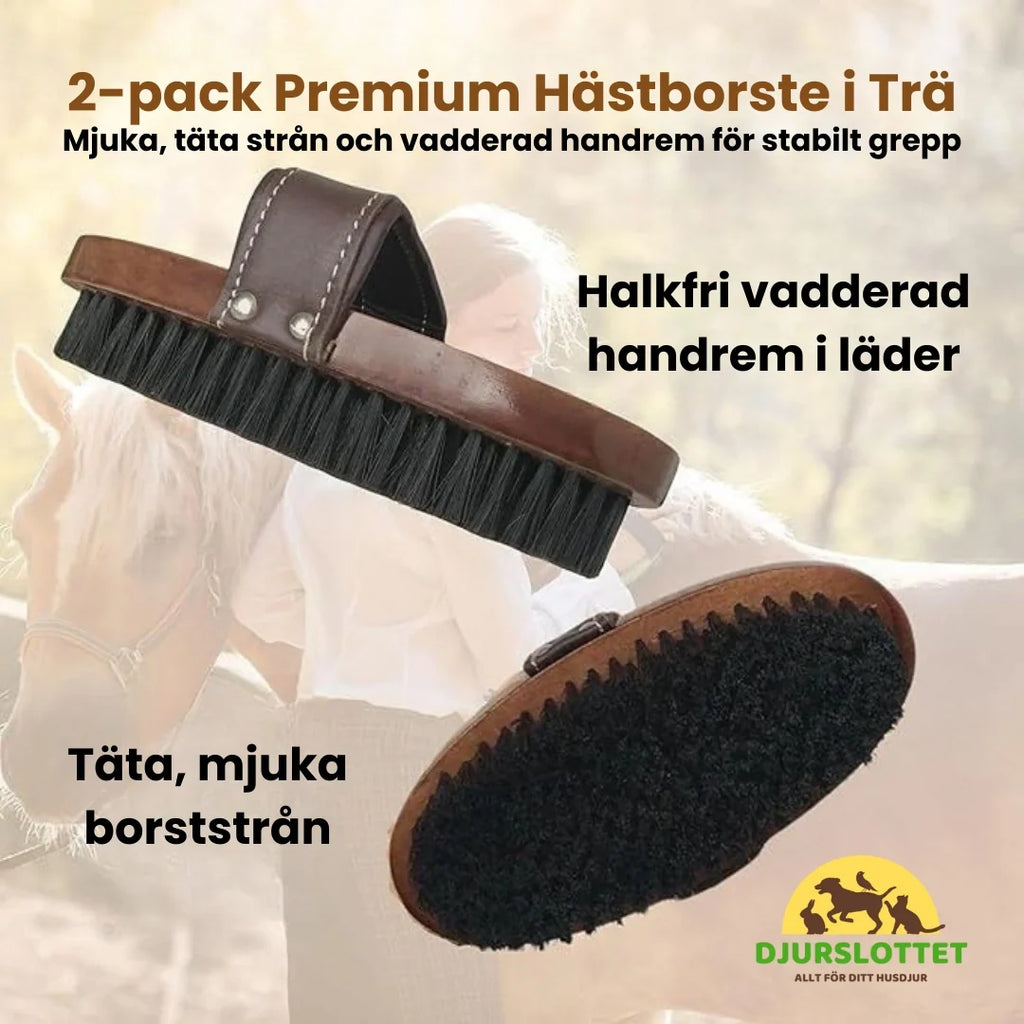 2-pack Premium Horse Brush in Wood Soft, dense bristles and a padded hand strap for a secure grip - Petifo