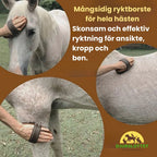 2-pack Premium Horse Brush in Wood Gentle and effective grooming for face, body and 
legs. - Petifo