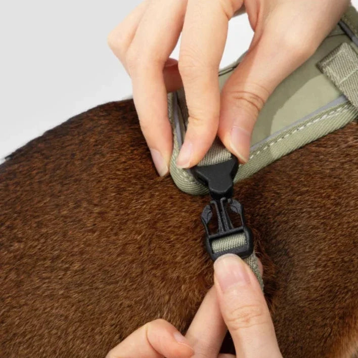 HiDream Vest Series Cat Harness - Petifo