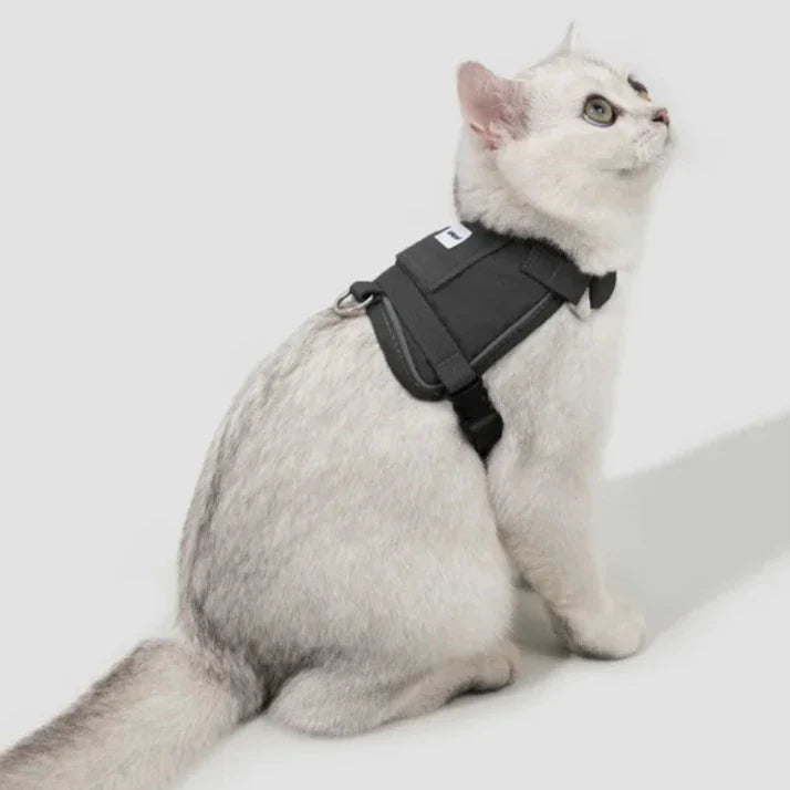 HiDream Vest Series Cat Harness - Petifo