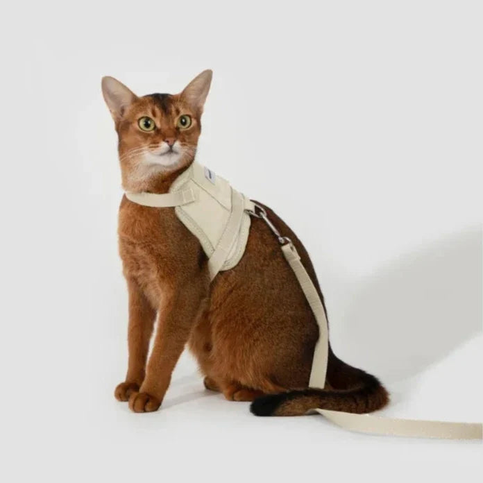 HiDream Vest Series Cat Harness - Petifo
