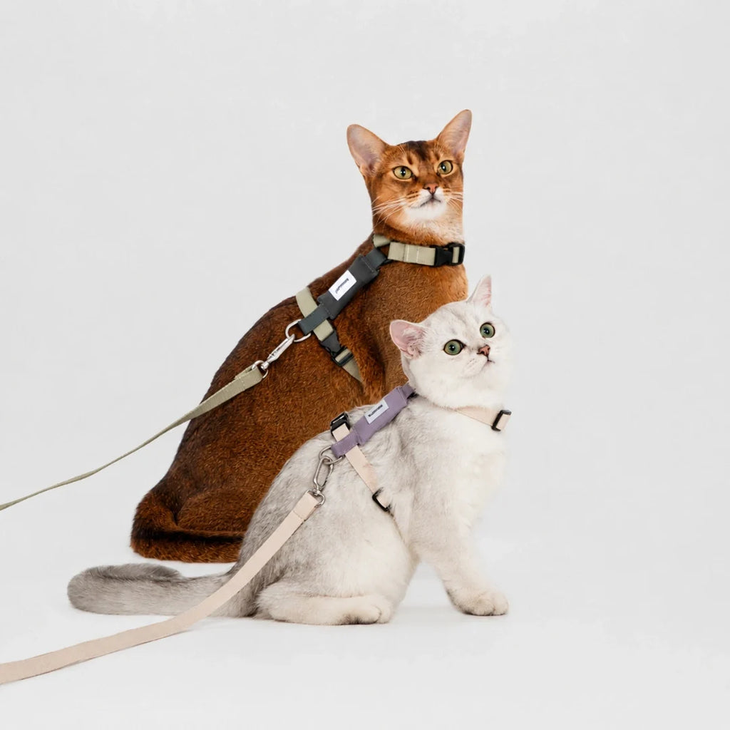 HiDream Stripe Series cat harness - Petifo