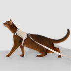 HiDream Vest Series Cat Harness - Petifo