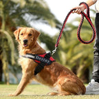 Detixy Dog Harness - Petifo