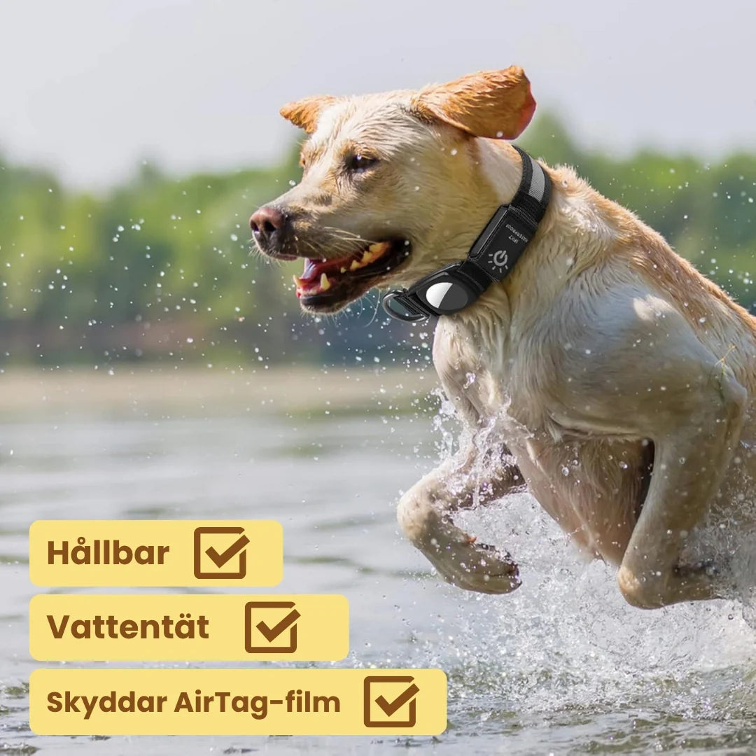 Glowing AirTag collar For dogs Durable- Petifo
