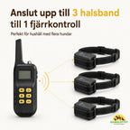 Anti-bark Collar DuoControl - Petifo