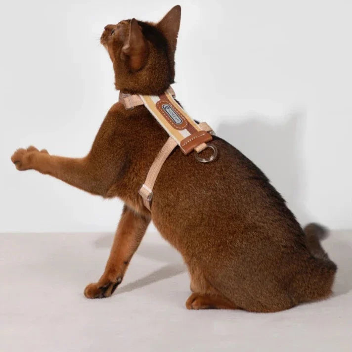 HiDream Stripe Series cat harness - Petifo