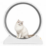 Roue d’exercice pour chat