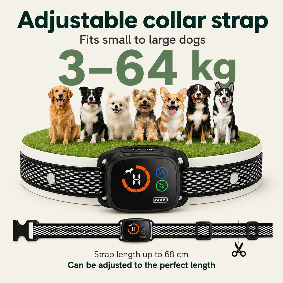Verstelbare ChewUp-blafband geschikt voor kleine tot grote honden van 3 kg tot 64 kg.