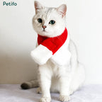 Adorable silver tabby cat wearing a red and white Christmas scarf sitting against a white background.