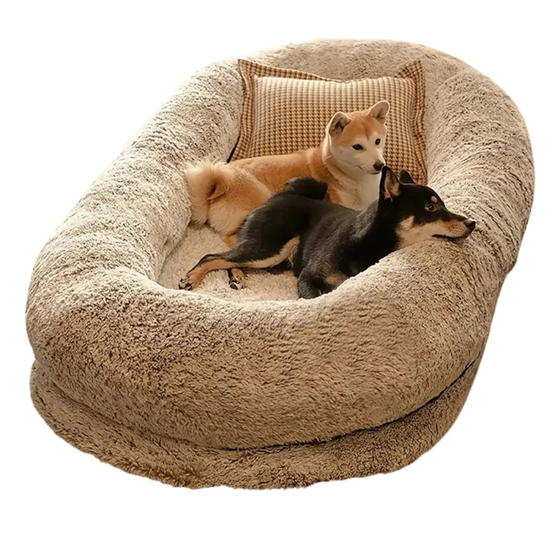 Two adorable Shiba Inu dogs resting together in a luxurious brown plush human dog bed.