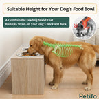 An anatomical diagram illustrating how the Petifo raised feeding station helps reduce neck and back strain for dogs during mealtime.