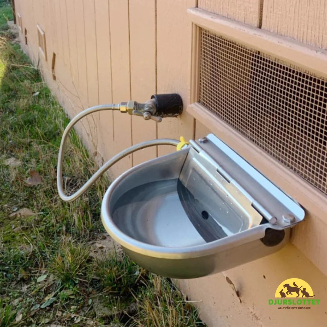 Automatic Water Bowl for horses in stainless steel Automatic water level - Petifo