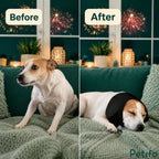 Before and after infographic demonstrating a dog's transition from anxious during fireworks to calm and sleeping peacefully while wearing the Petifo cap.
