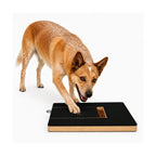 Brown dog scratching at a black and wooden puzzle board on a white background.