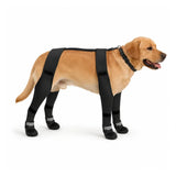 Bottes d’hiver pour chien avec sangle en H SnowGrip