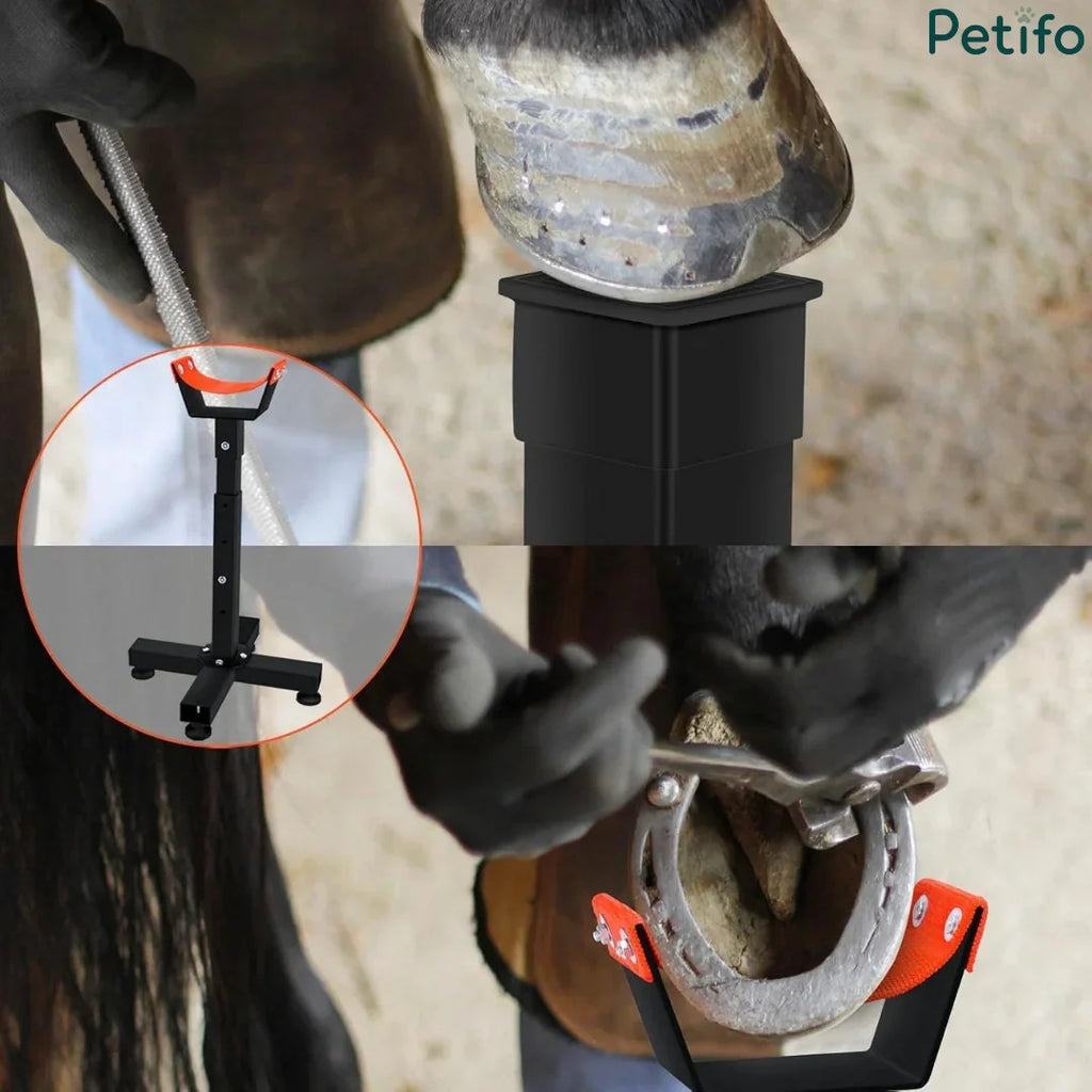 Farrier using tools to shoe a horse's hoof supported by the adjustable black and orange stand.