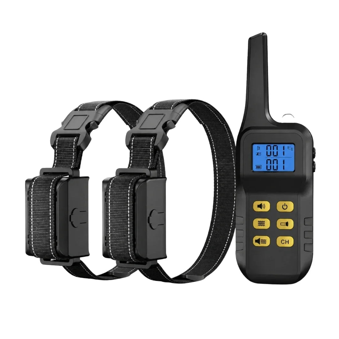 Dual-collar electronic dog training set featuring one handheld remote control and two adjustable black receiver straps.