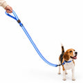 LED Light-Up Lead blue - Petifo
