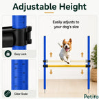 Complete parts list for the Petifo dog agility training set, including poles, stakes, and a blue carry bag.
