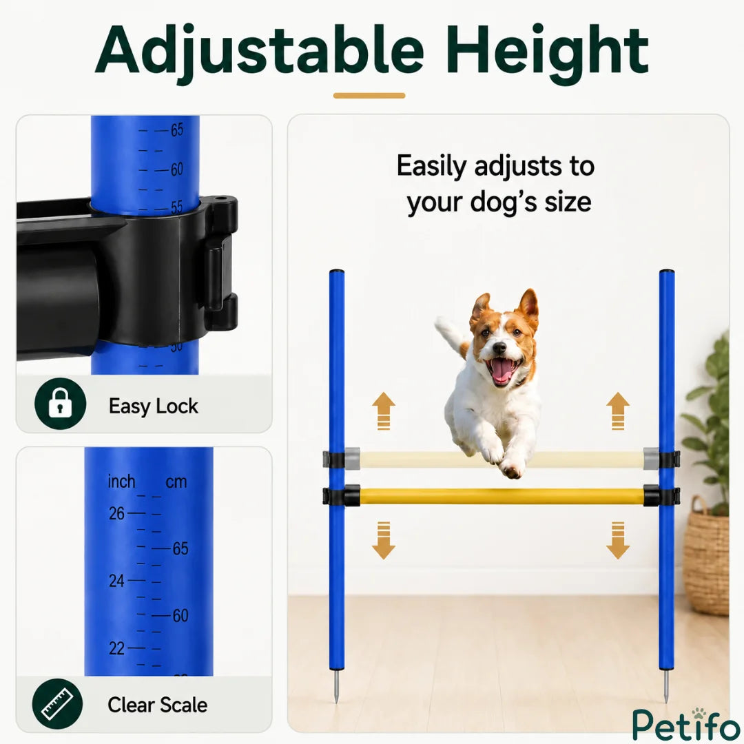 Complete parts list for the Petifo dog agility training set, including poles, stakes, and a blue carry bag.