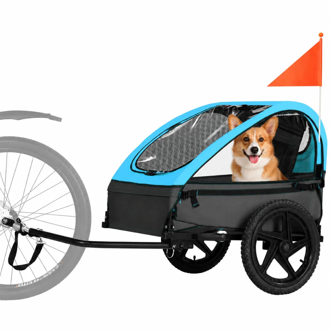 A bright blue and grey pet bike trailer with a safety flag, featuring a happy Corgi inside.