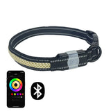 LunaPaw-ledhalsband voor honden