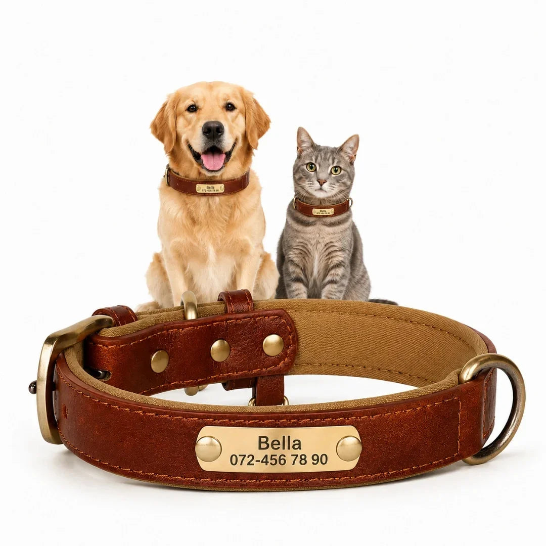 Golden retriever and tabby cat wearing personalized leather collars, sitting next to a matching brown leather collar with a brass engraved nameplate.