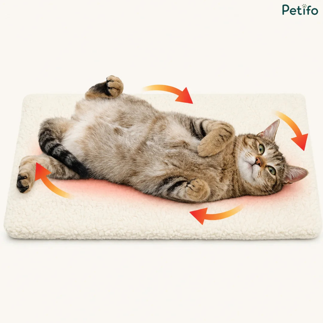 A tabby cat rolling happily on its back over the self-warming pet mat with indicator arrows showing comfort and warmth.