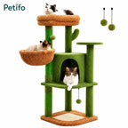 Arbre à chat cactus