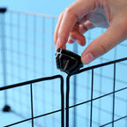 Dog Crate clips