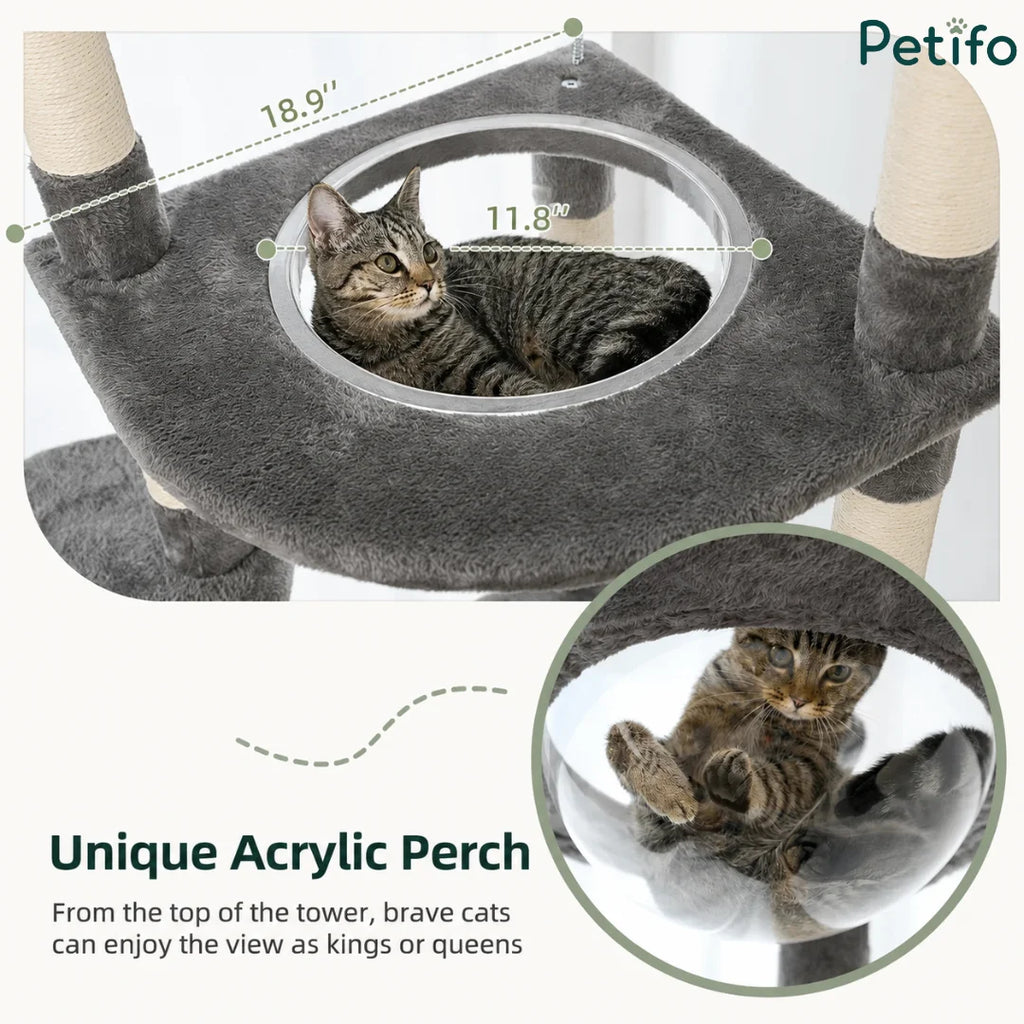 Close-up of a cat resting inside the unique clear acrylic perch of a grey cat tree with dimensions labeled for the platform.