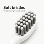 Close-up of a white electric dog toothbrush head with dense, soft bristles for sensitive teeth.