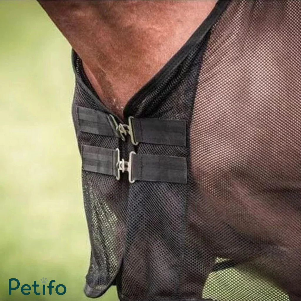 Close-up of the front chest area showing metal hook closures on a black horse fly sheet.
