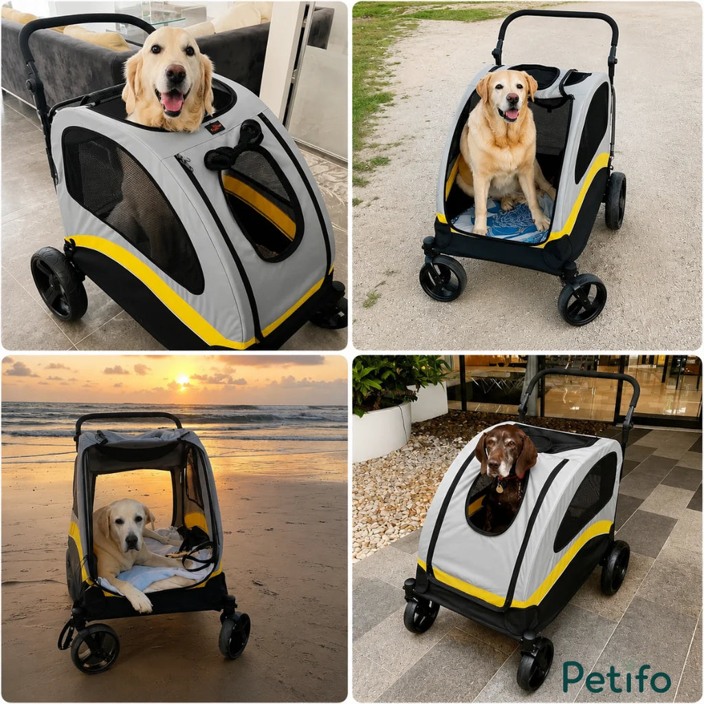 Collage of various medium and large dogs sitting comfortably inside a Petifo pet stroller in different outdoor locations