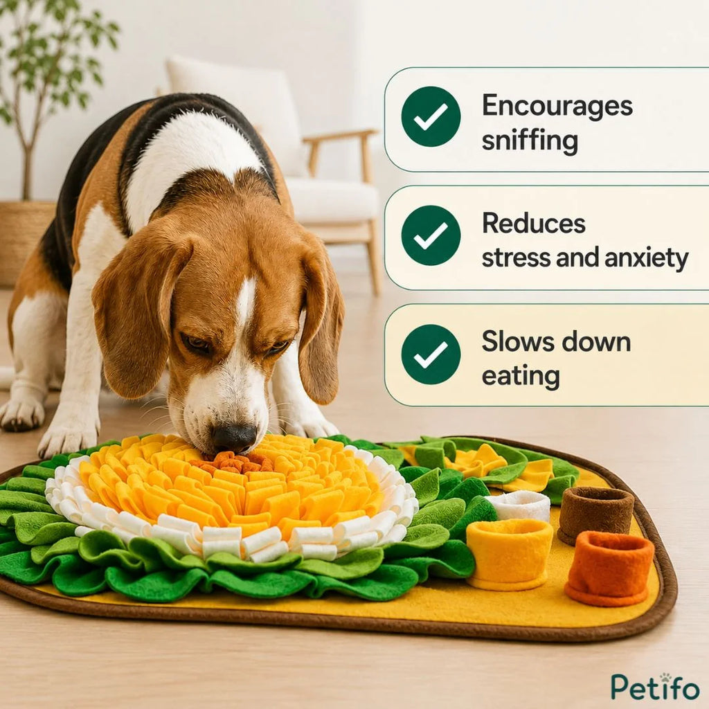 Collie sniffing a yellow and green flower snuffle mat on a carpet, with an inset highlighting its non-slip bottom.