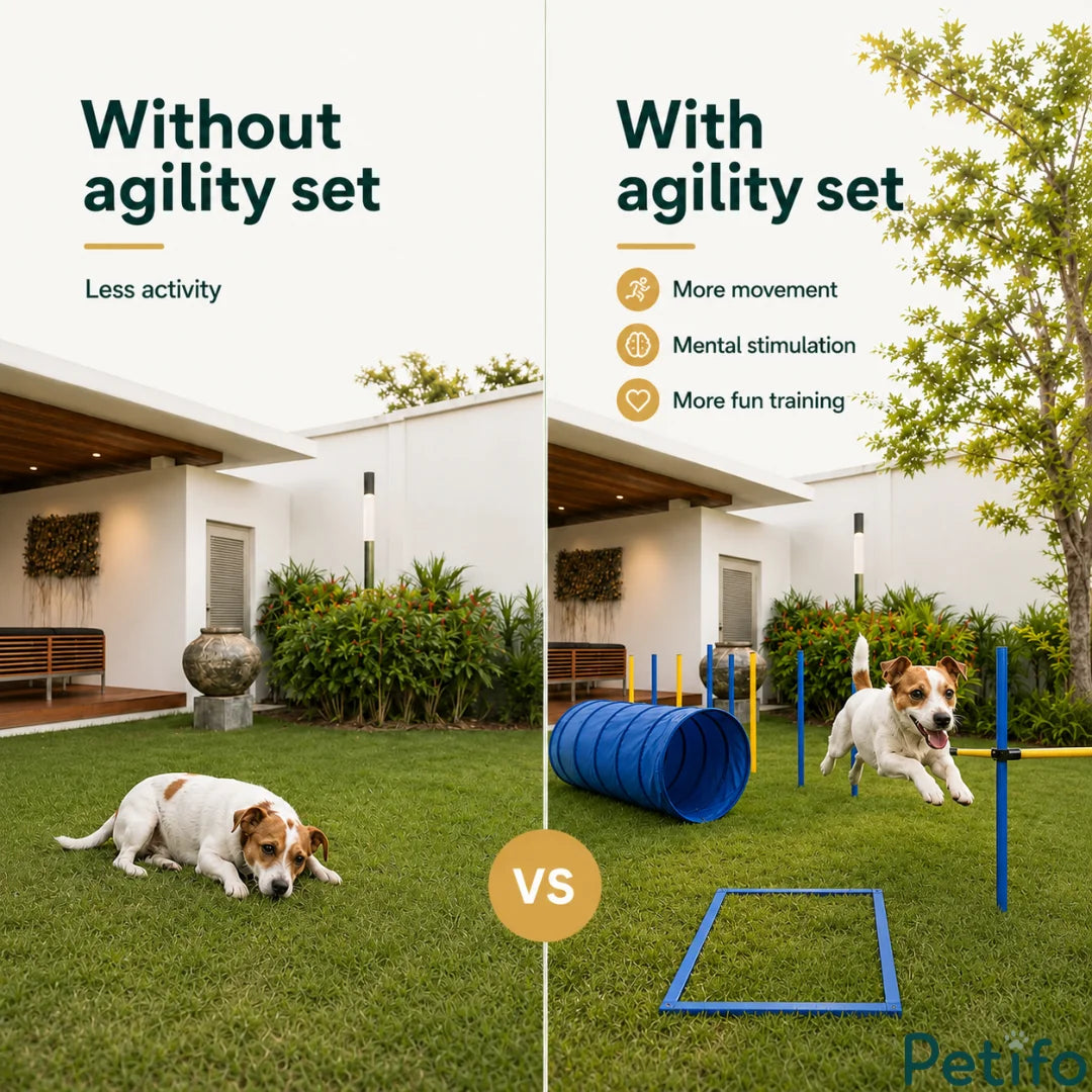 A comparison graphic showing a dog resting versus an active dog playing with the Petifo dog agility set.
